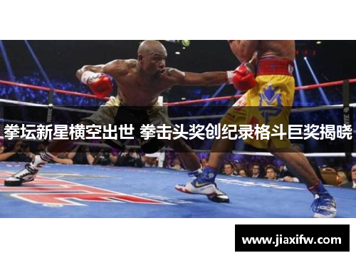 拳坛新星横空出世 拳击头奖创纪录格斗巨奖揭晓